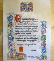 DIPLOMA RECONOCIMIENTO  MUNICIPAL