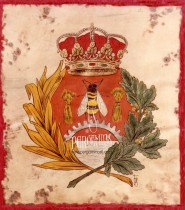 ESCUDO DE COLEGIO PROFESIONAL.