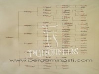 RBOL GENEALGICO lineal