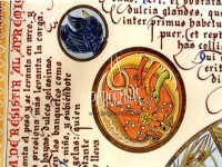 Vvoras y cuervo (detalle)-Tetramino, coleccin